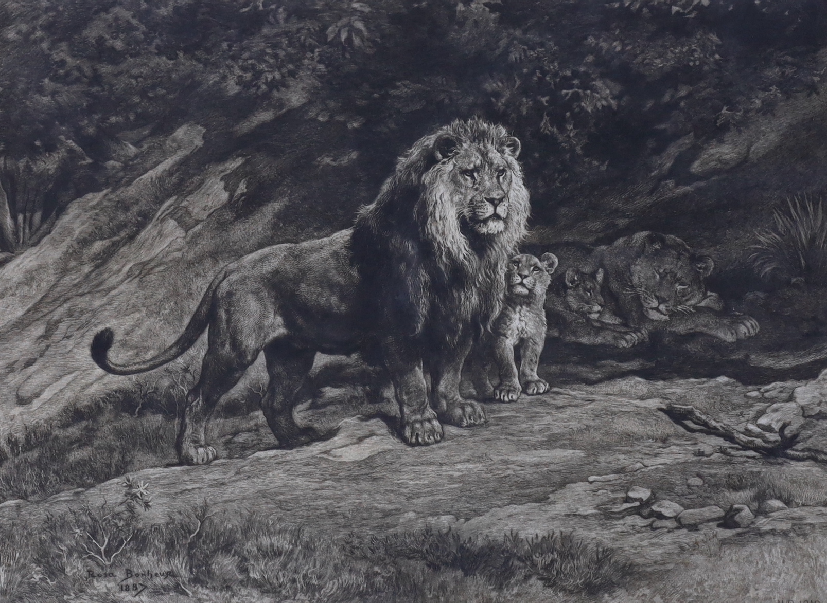 Herbert Dicksee (1862-1942), after Rosa Bonheur, etching, 'The King Watches', publ.1910, 52 x 69cm